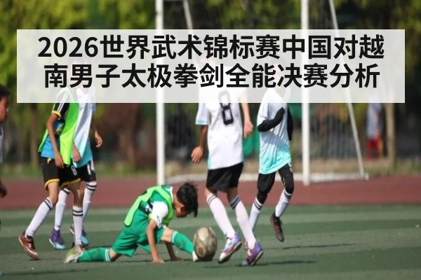 2026世界武术锦标赛中国对越南男子太极拳剑全能决赛分析